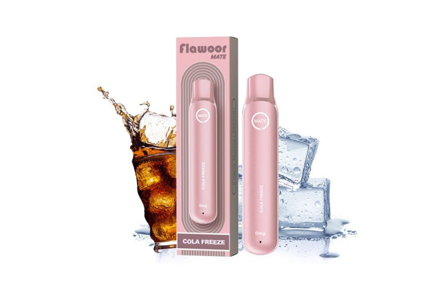 Flawoor Mate - Cola Freeze 600 Puff Disposable Kit