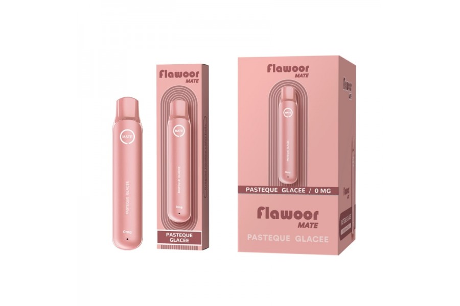 Flawoor Mate - Pastéque Glacée 600 Puff Disposable Kit